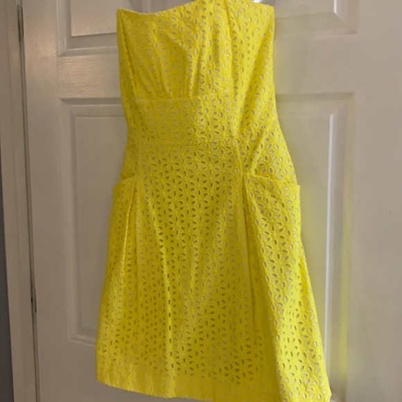 Lily Pulitzer Strapless Blossom Dress - Picture 3 of 16